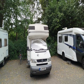 1000023785-standard.jpg