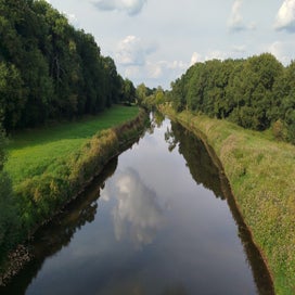 1000024138-standard.jpg