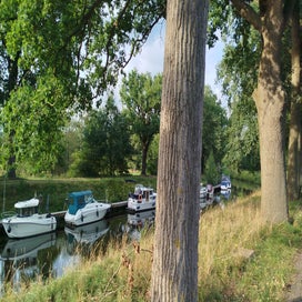 1000024140-standard.jpg