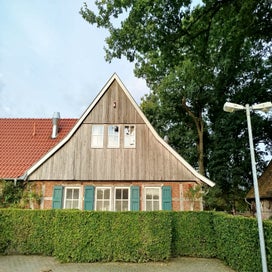 1000024150-standard.jpg