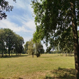 1000024232-standard.jpg