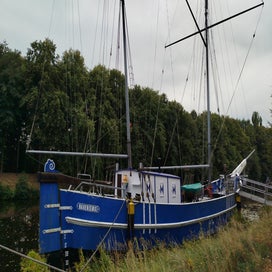 1000024261-standard.jpg