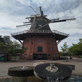 1000024506-standard.jpg