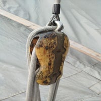 1000024622-standard.jpg