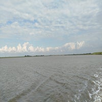 1000024716-standard.jpg