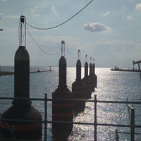1000024743-standard.jpg