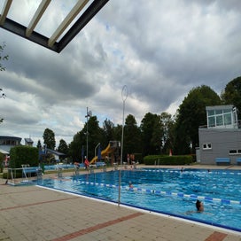 1000024983-standard.jpg