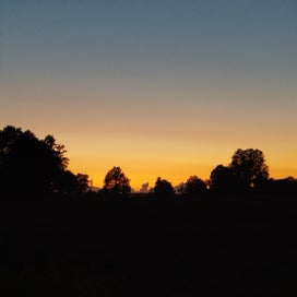 1000025976-standard.jpg