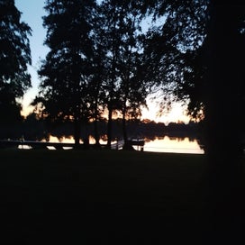 1000025977-standard-2zsgbu.jpg