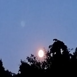 1000026228-standard.jpg