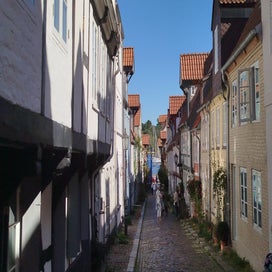 1000026536-standard.jpg