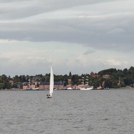 1000027500-standard.jpg