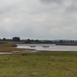 1000027719-standard-oeoww4.jpg