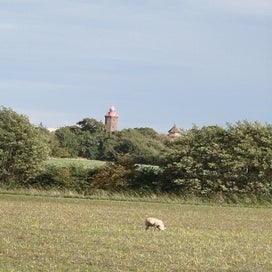1000028231-standard.jpg