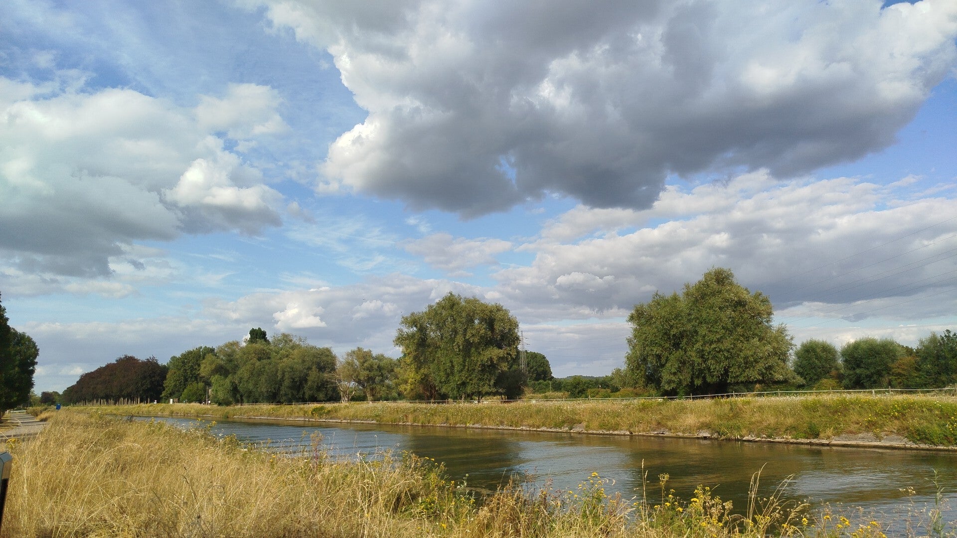 1000063515-standard.jpg