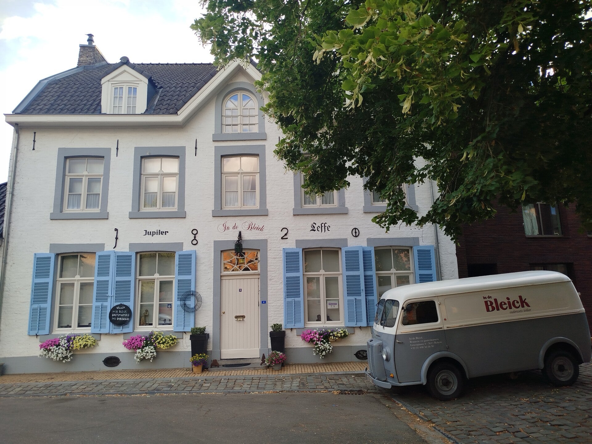 1000063642-standard.jpg