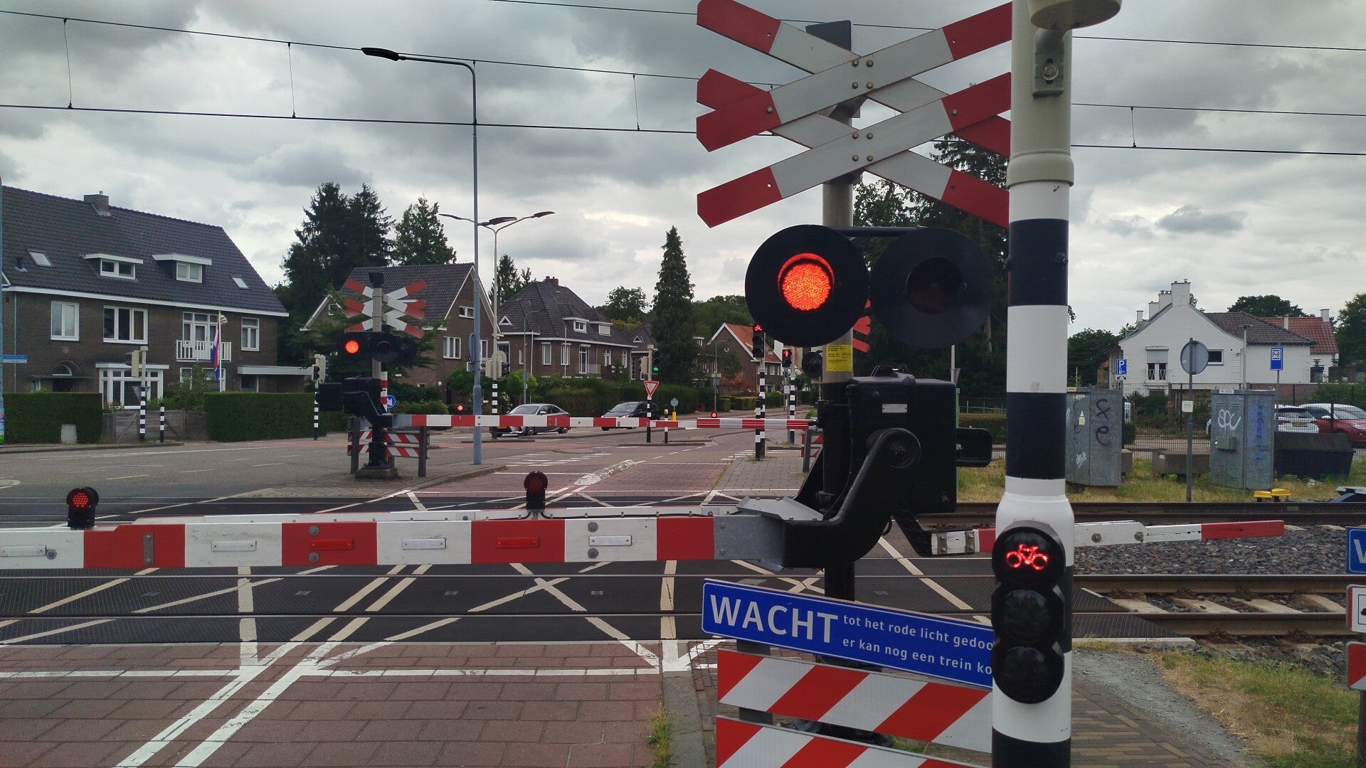 1000064068-standard.jpg
