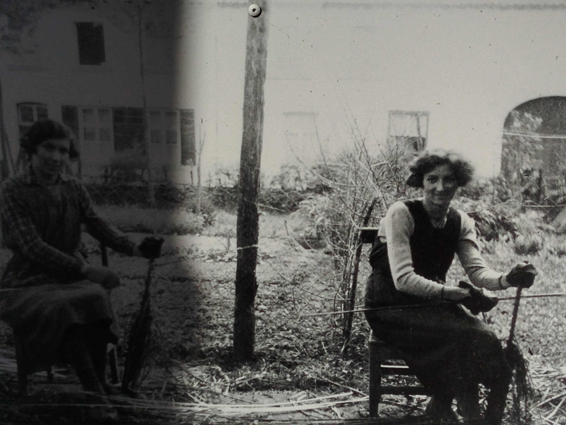1000064104-standard.jpg
