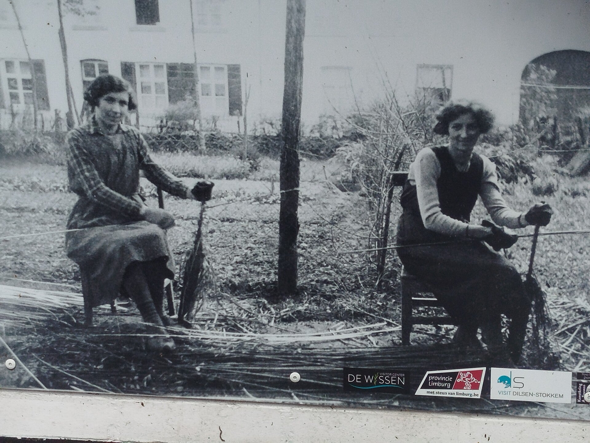 1000064369-standard.jpg