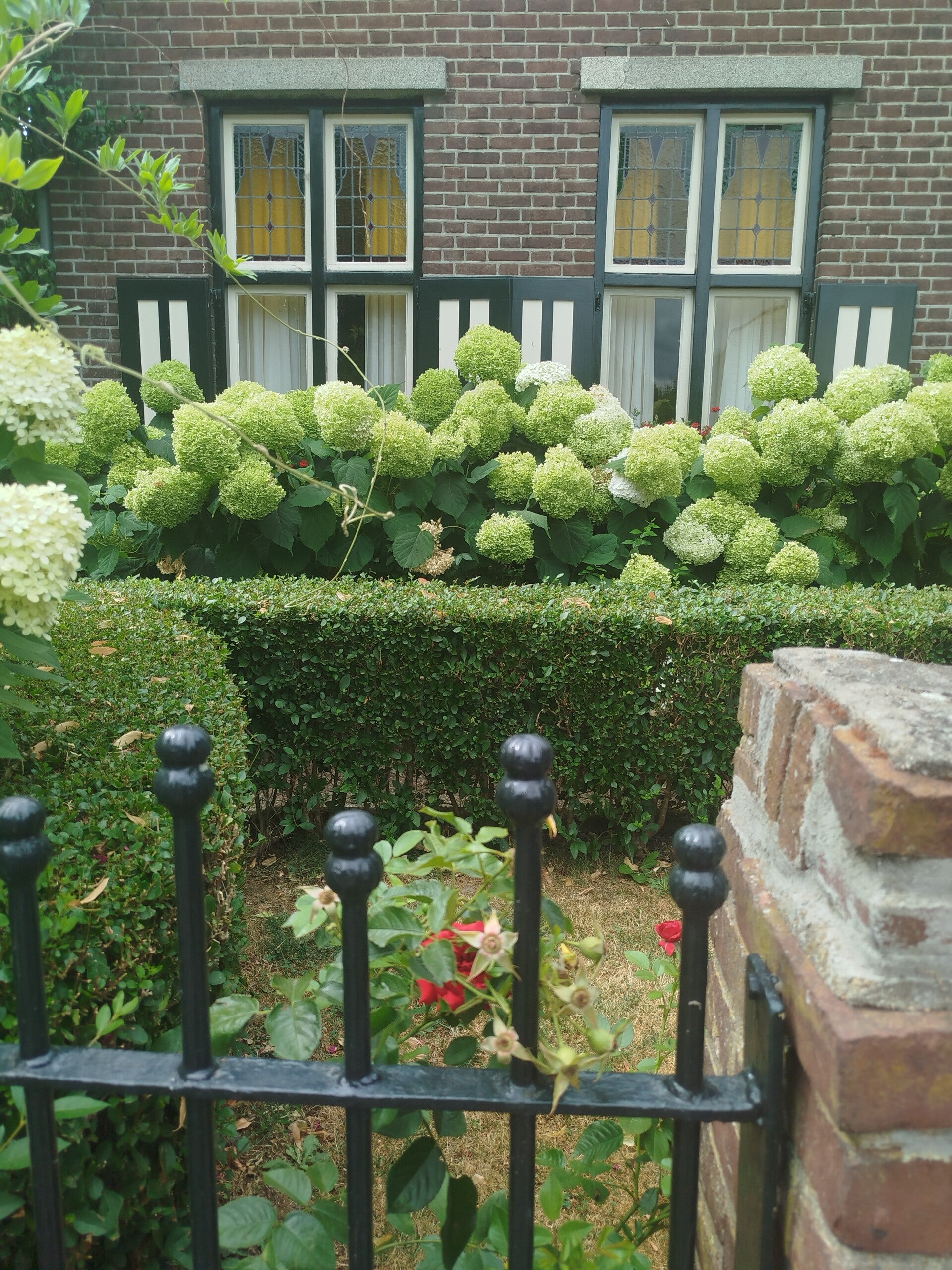 1000064514-standard.jpg