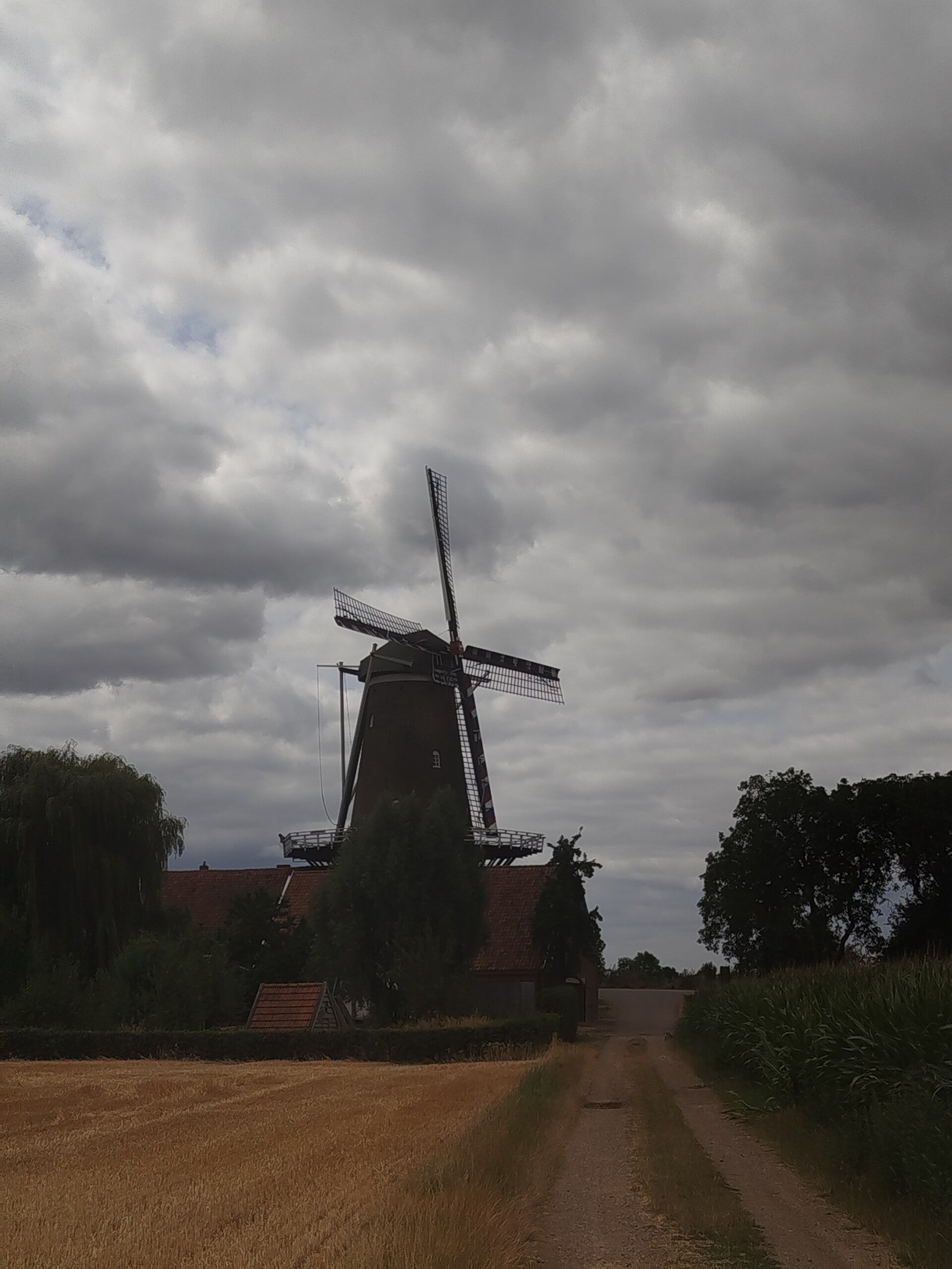 1000064520-standard.jpg