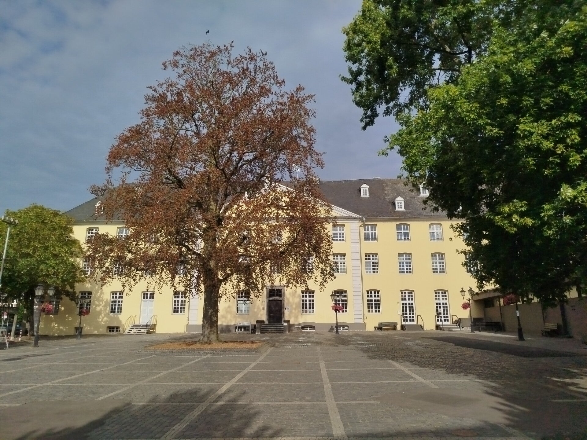 1000064920-standard.jpg