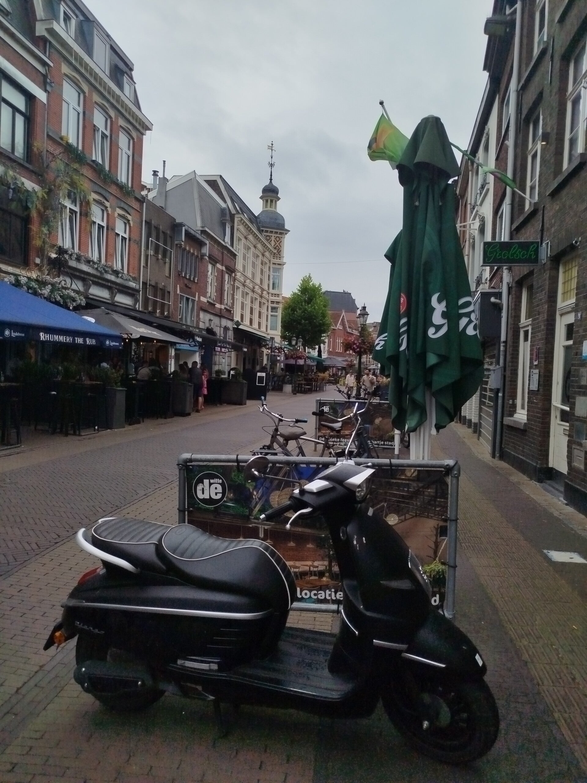 1000065042-standard.jpg