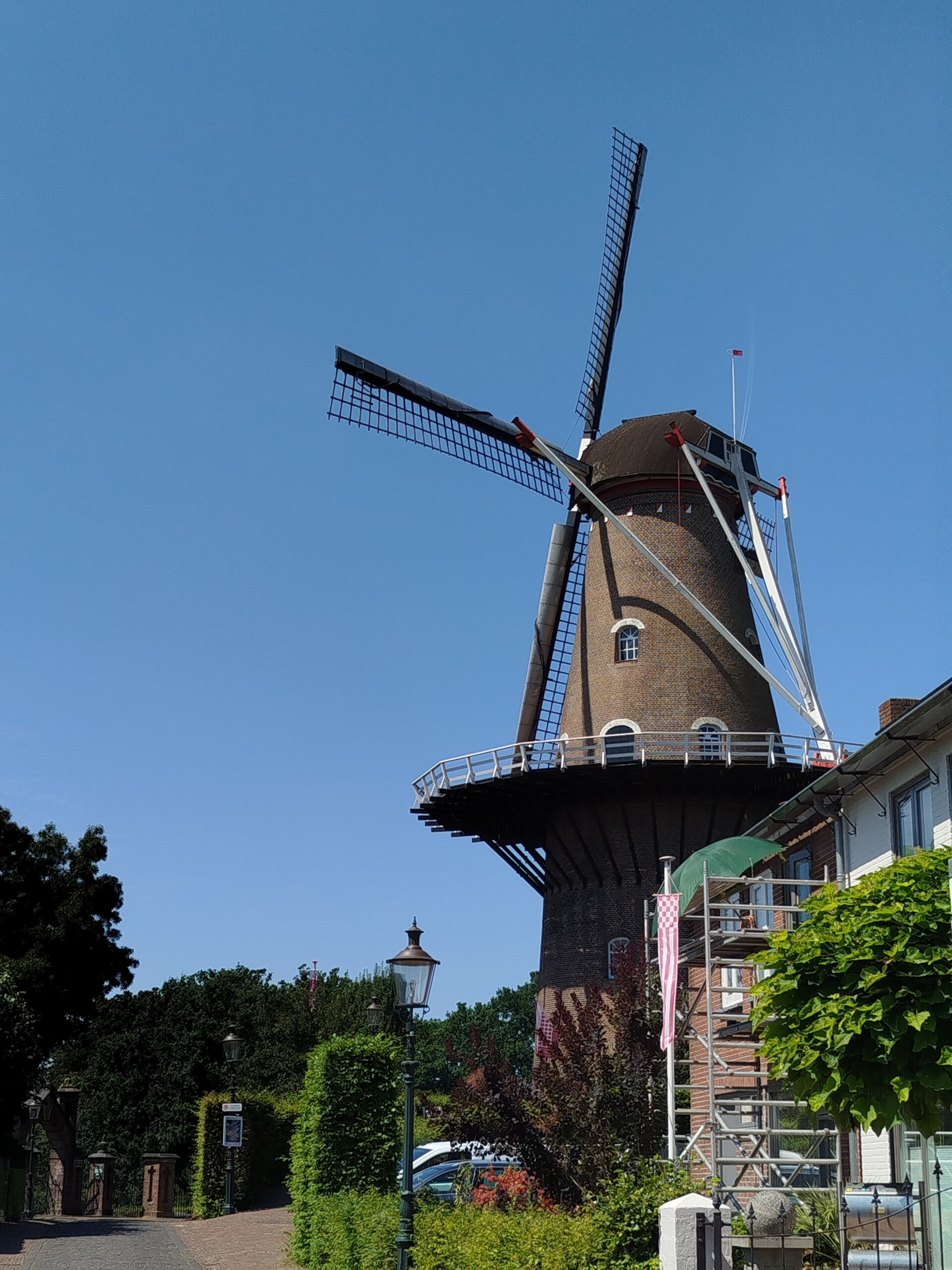 1000065523-standard.jpg