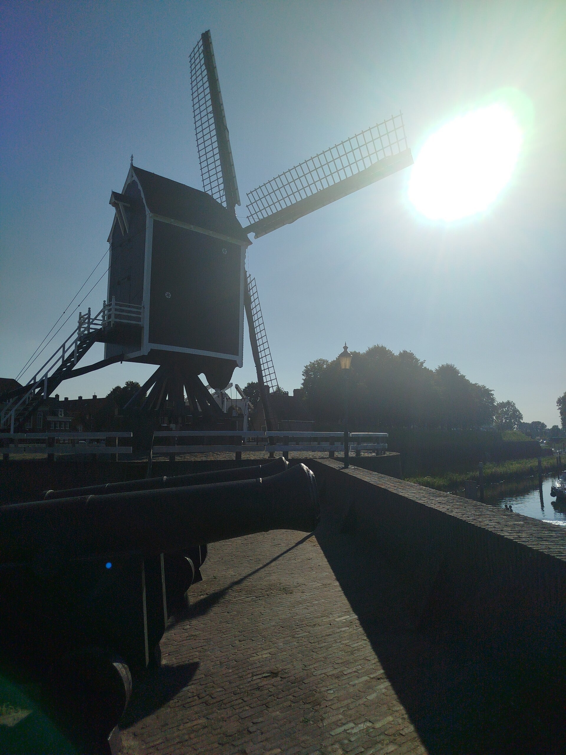 1000066039-standard.jpg