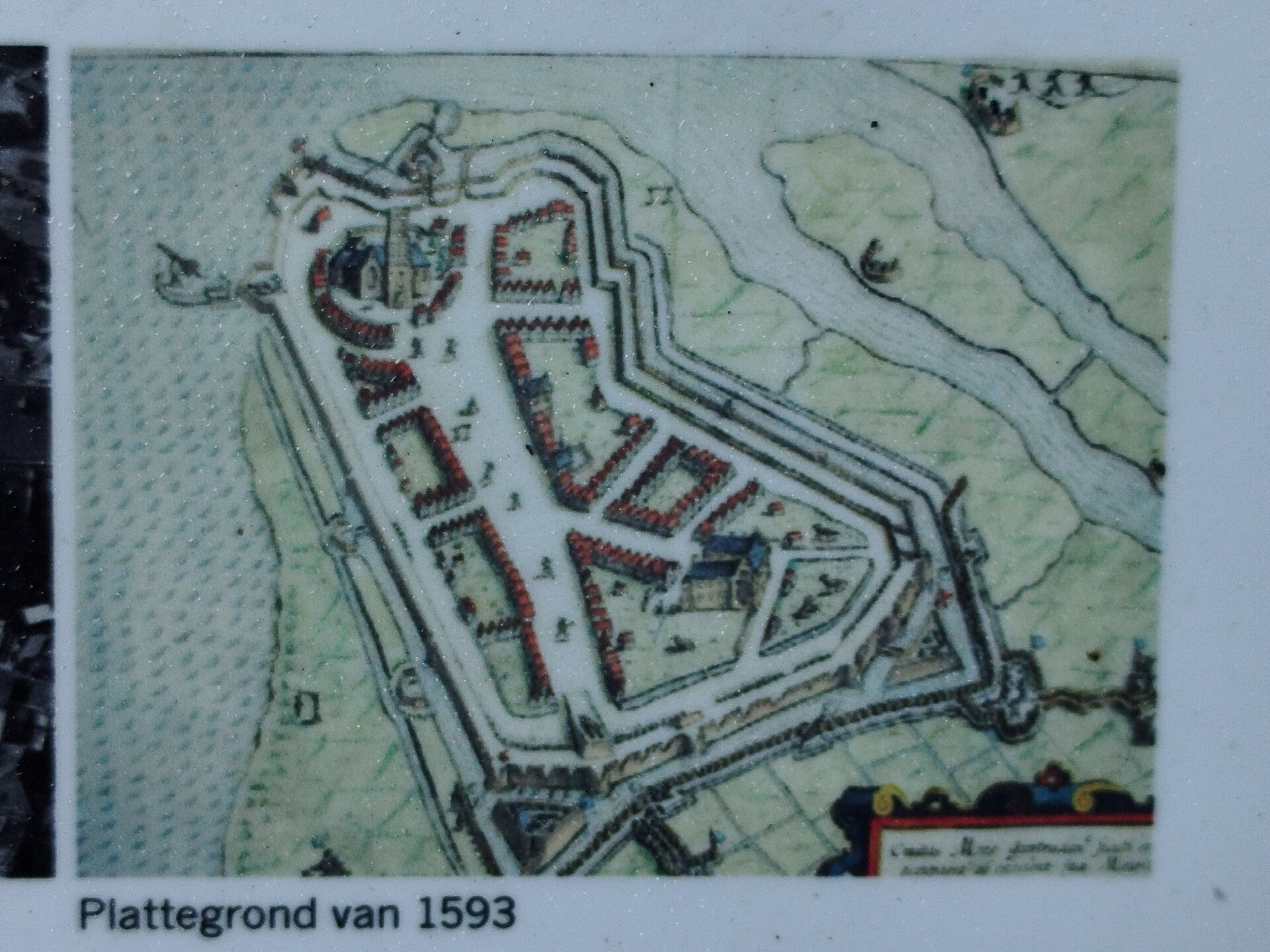 1000066167-standard.jpg