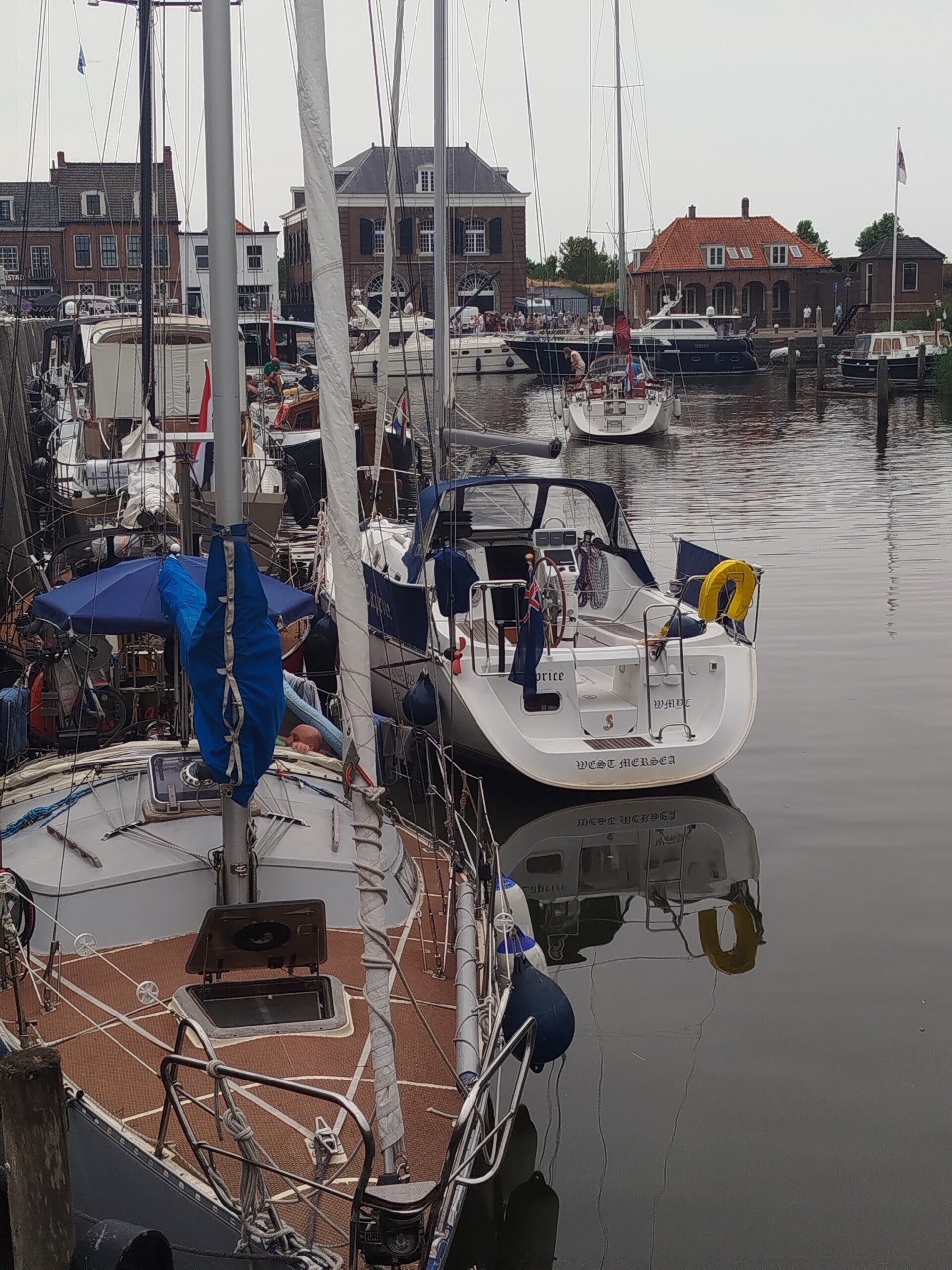 1000066201-standard.jpg