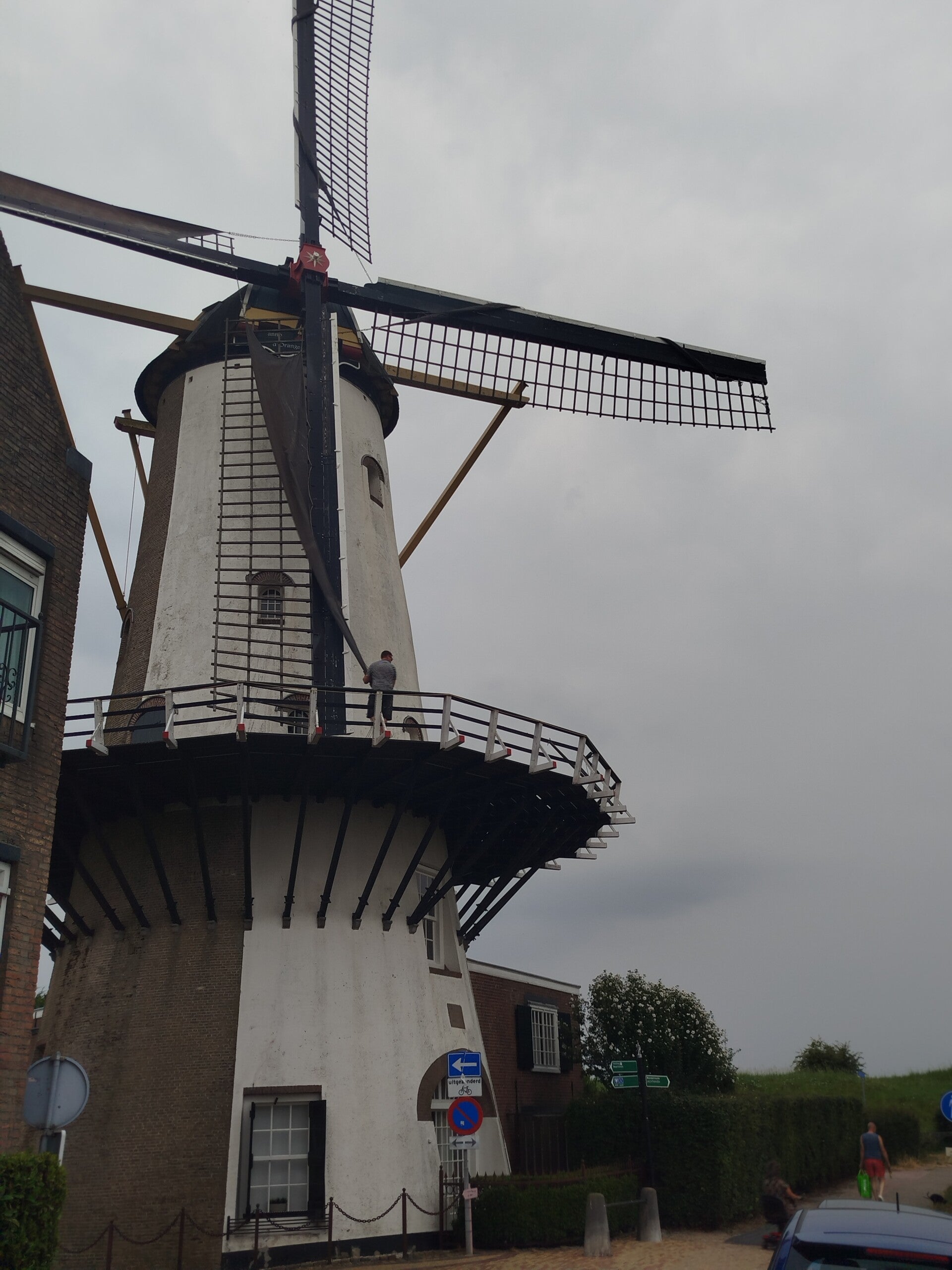 1000066202-standard.jpg