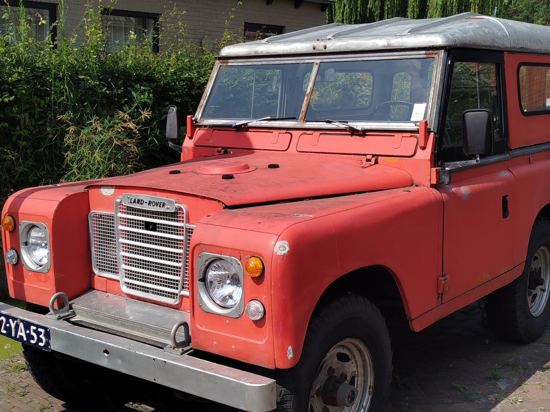 1000066454-standard-d2wd1j.jpg
