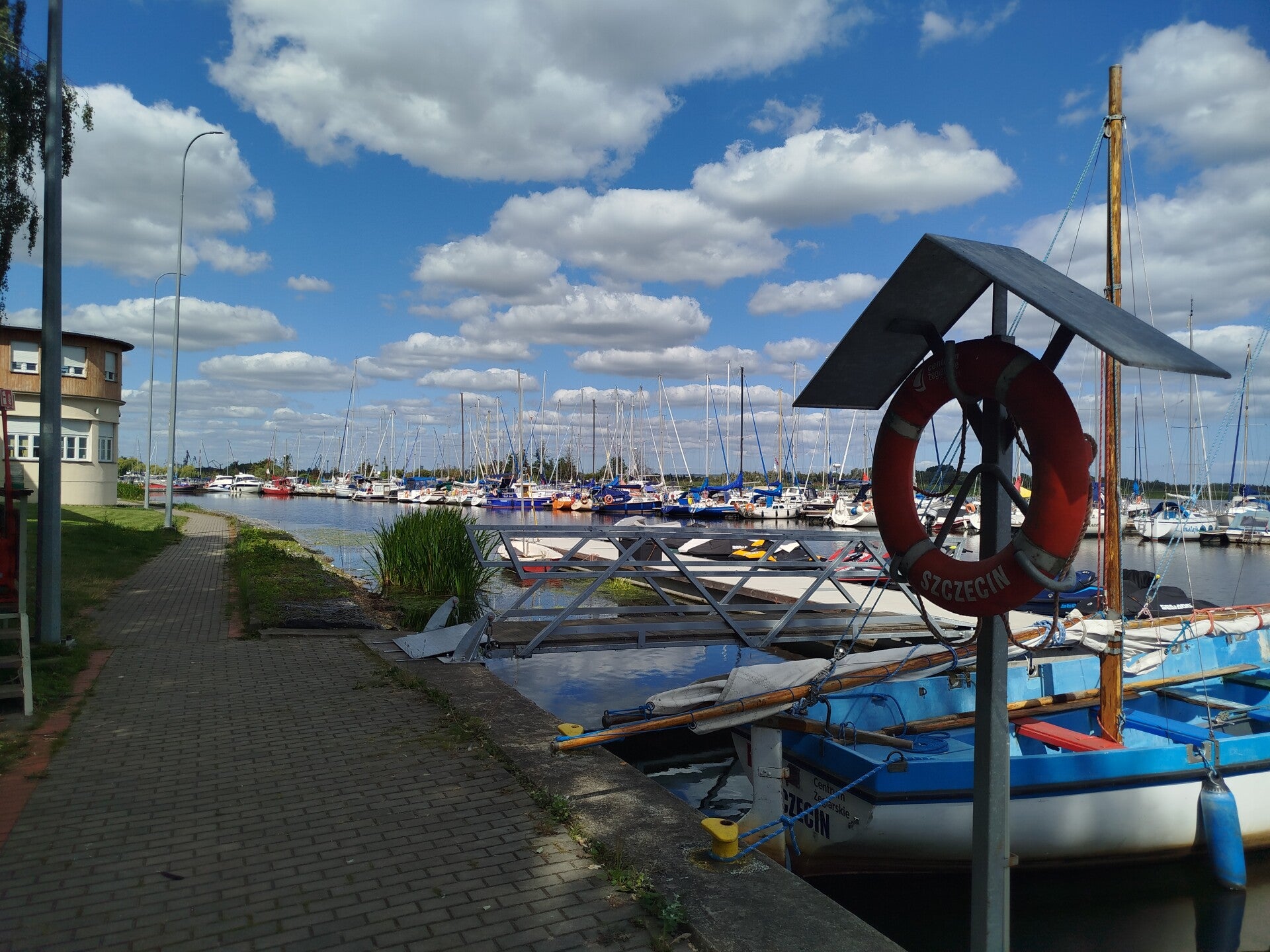 1000068240-standard.jpg