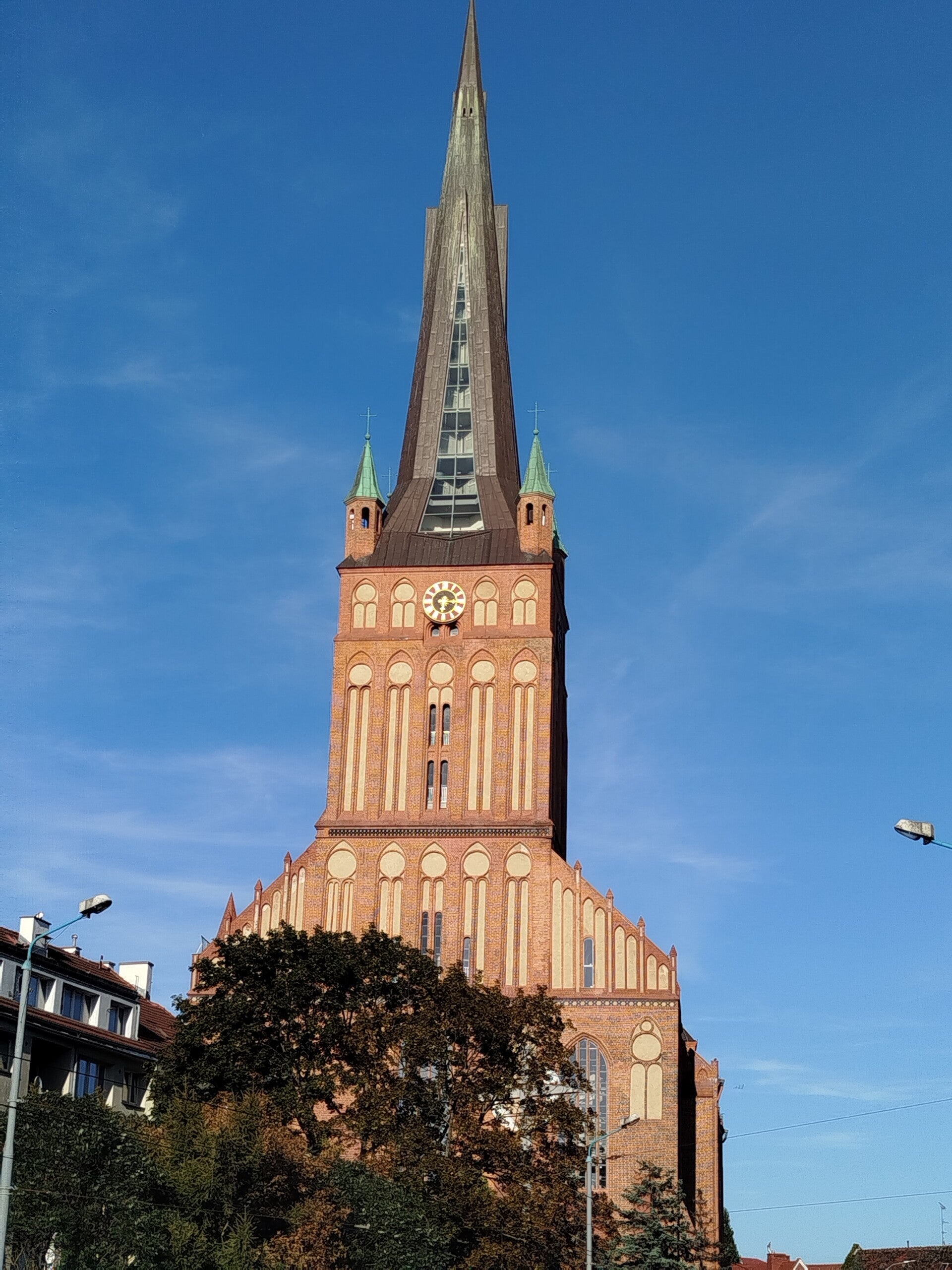 1000068343-standard.jpg