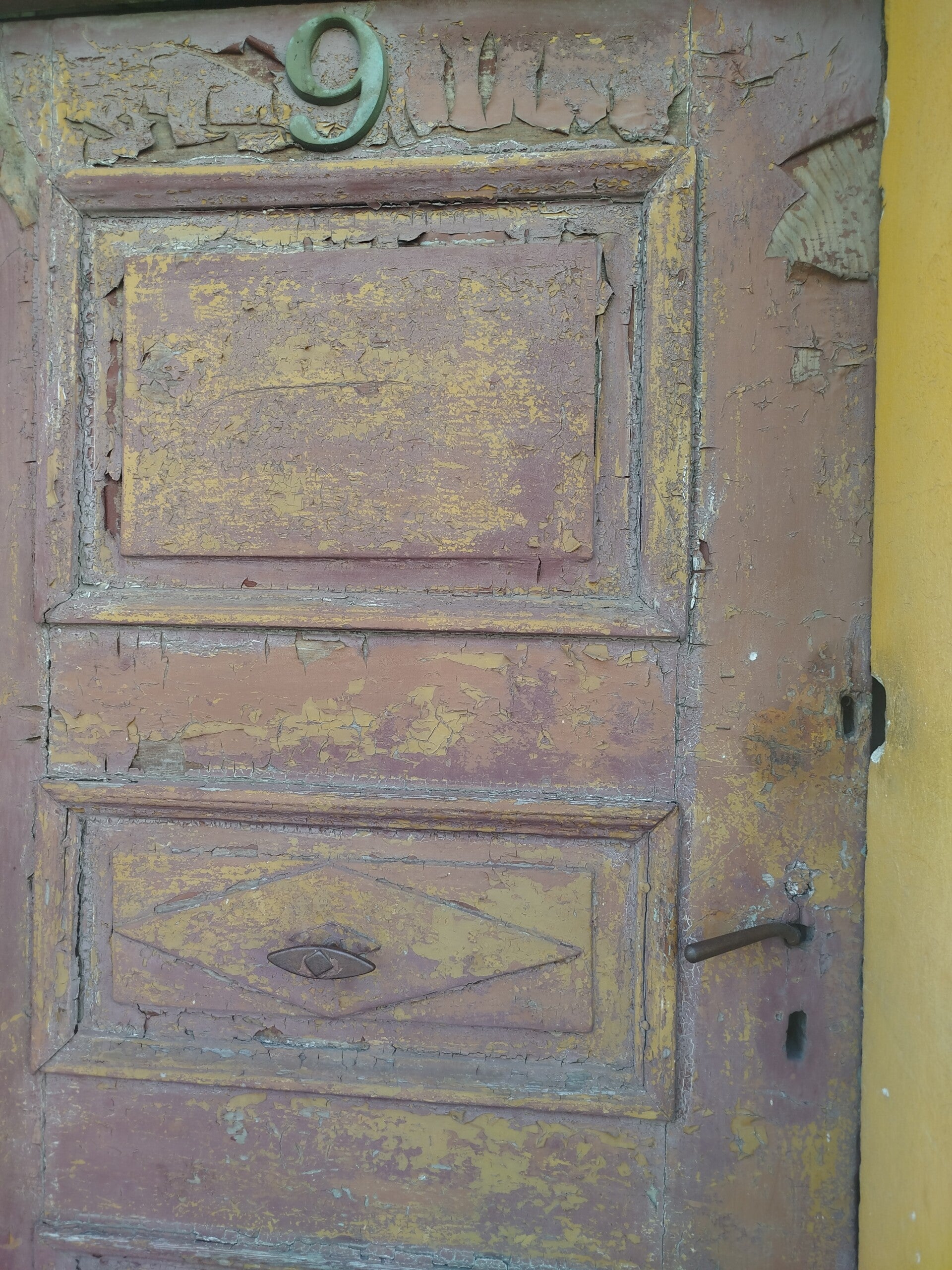 1000068659-standard.jpg