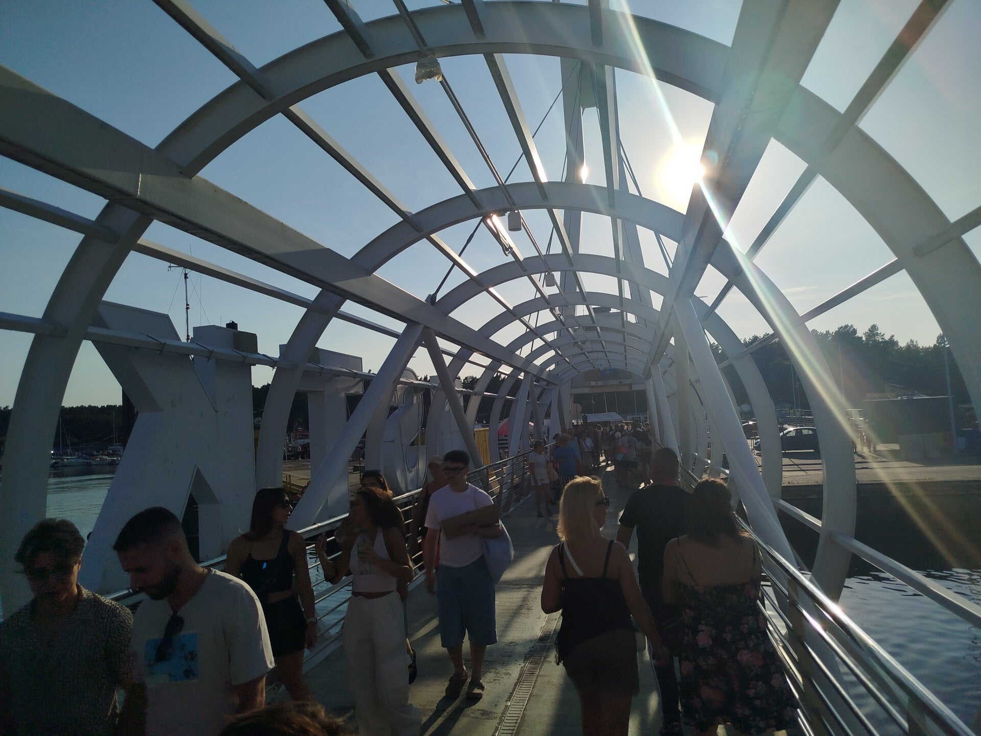 1000068901-standard.jpg