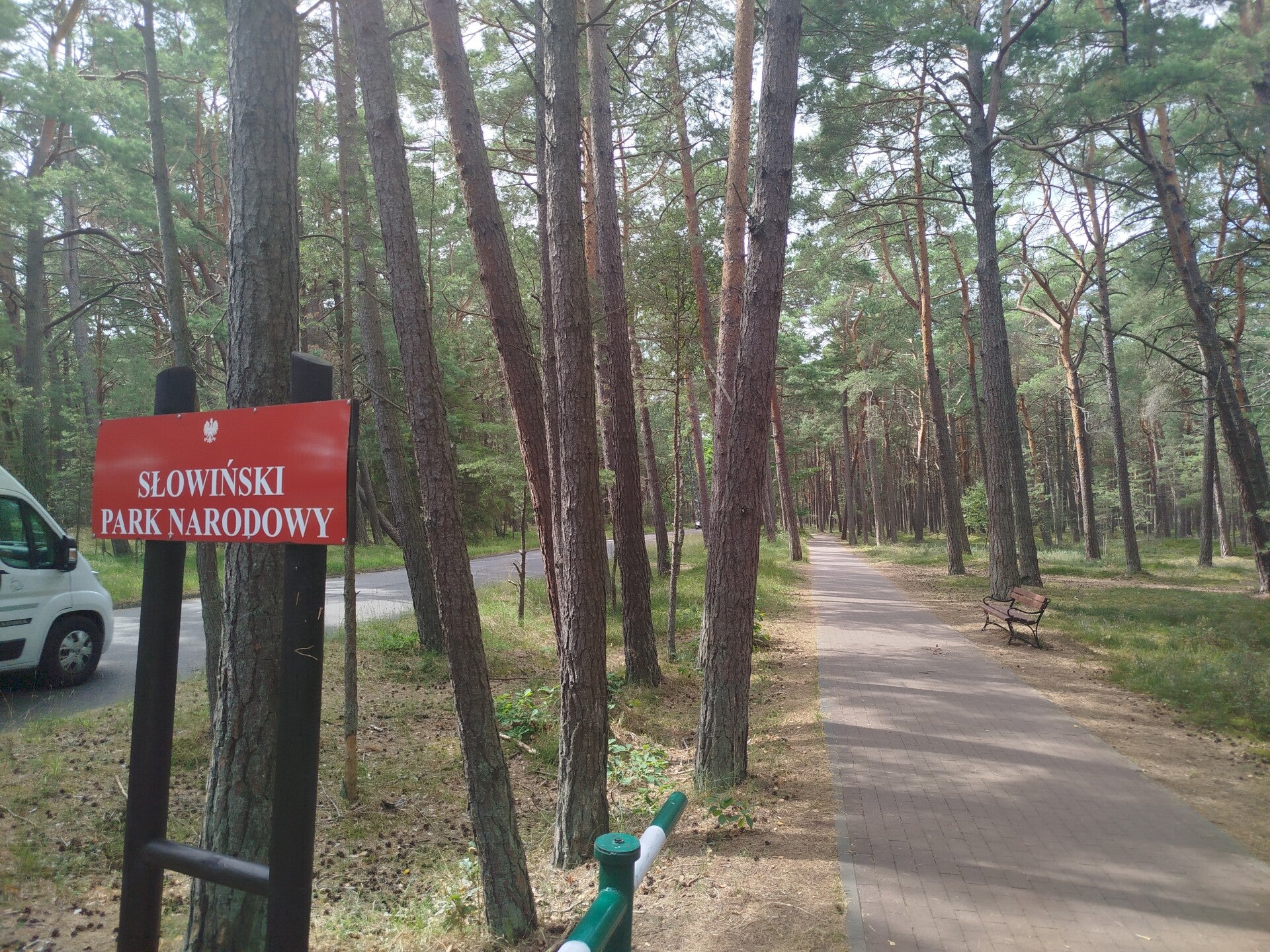 1000069044-standard.jpg