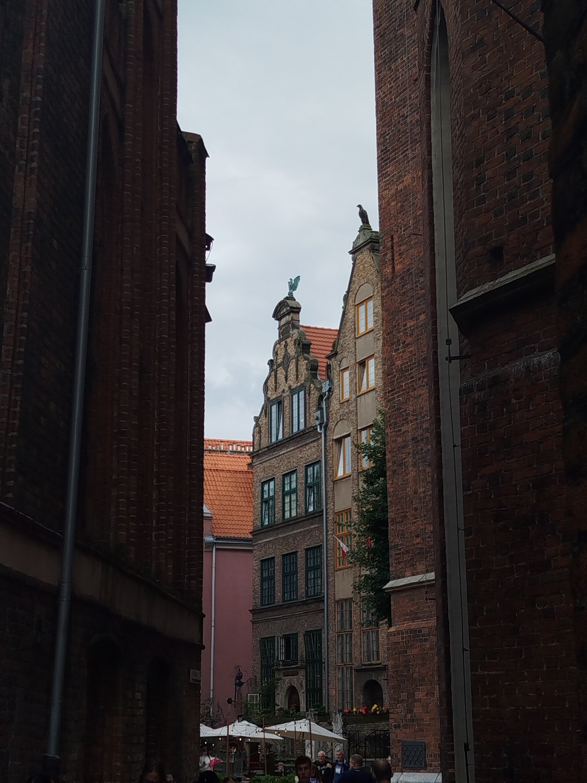 1000069380-standard.jpg