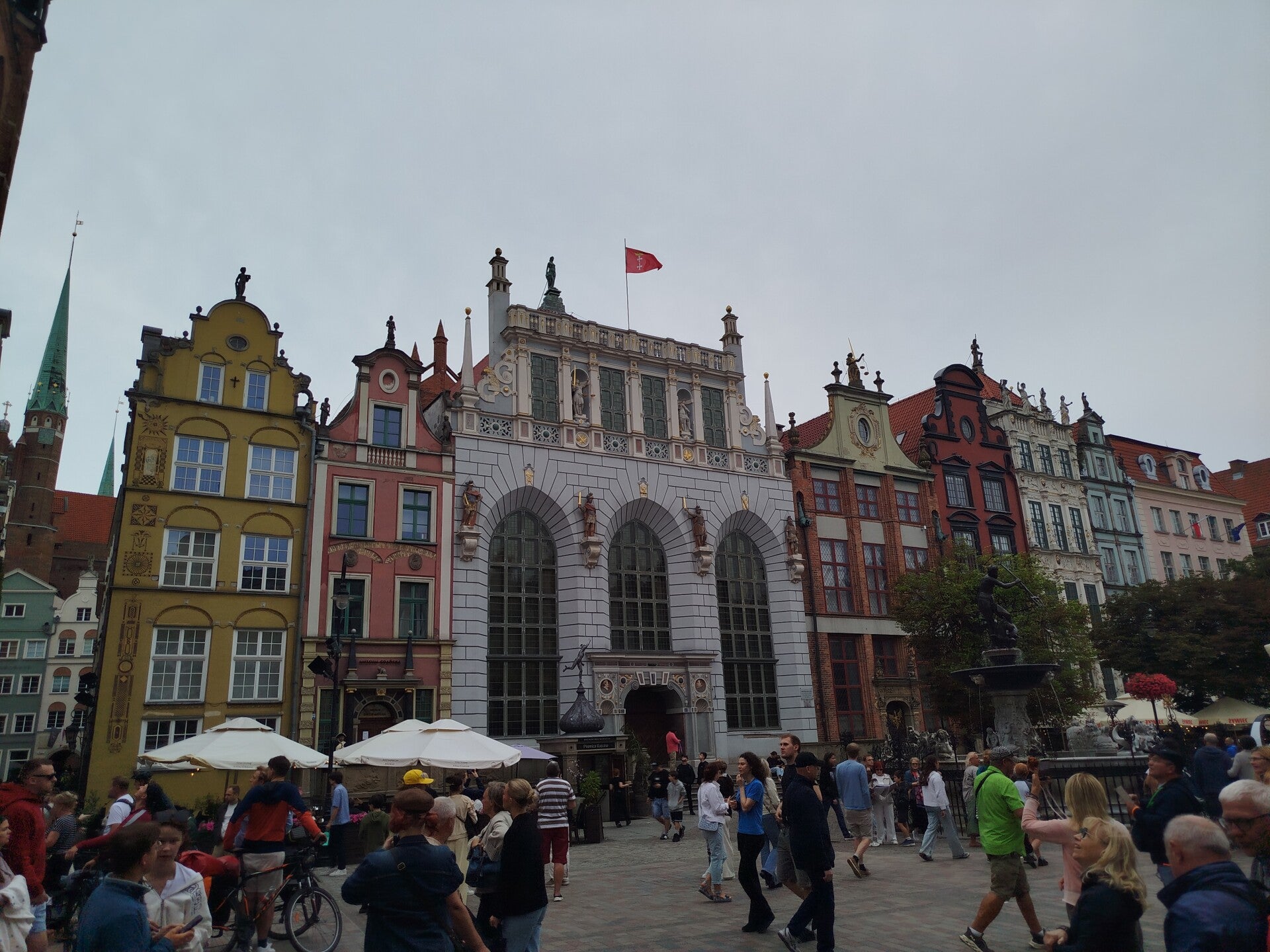 1000069415-standard.jpg