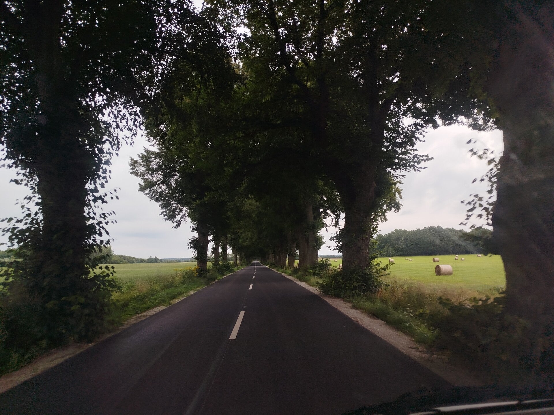 1000069810-standard.jpg