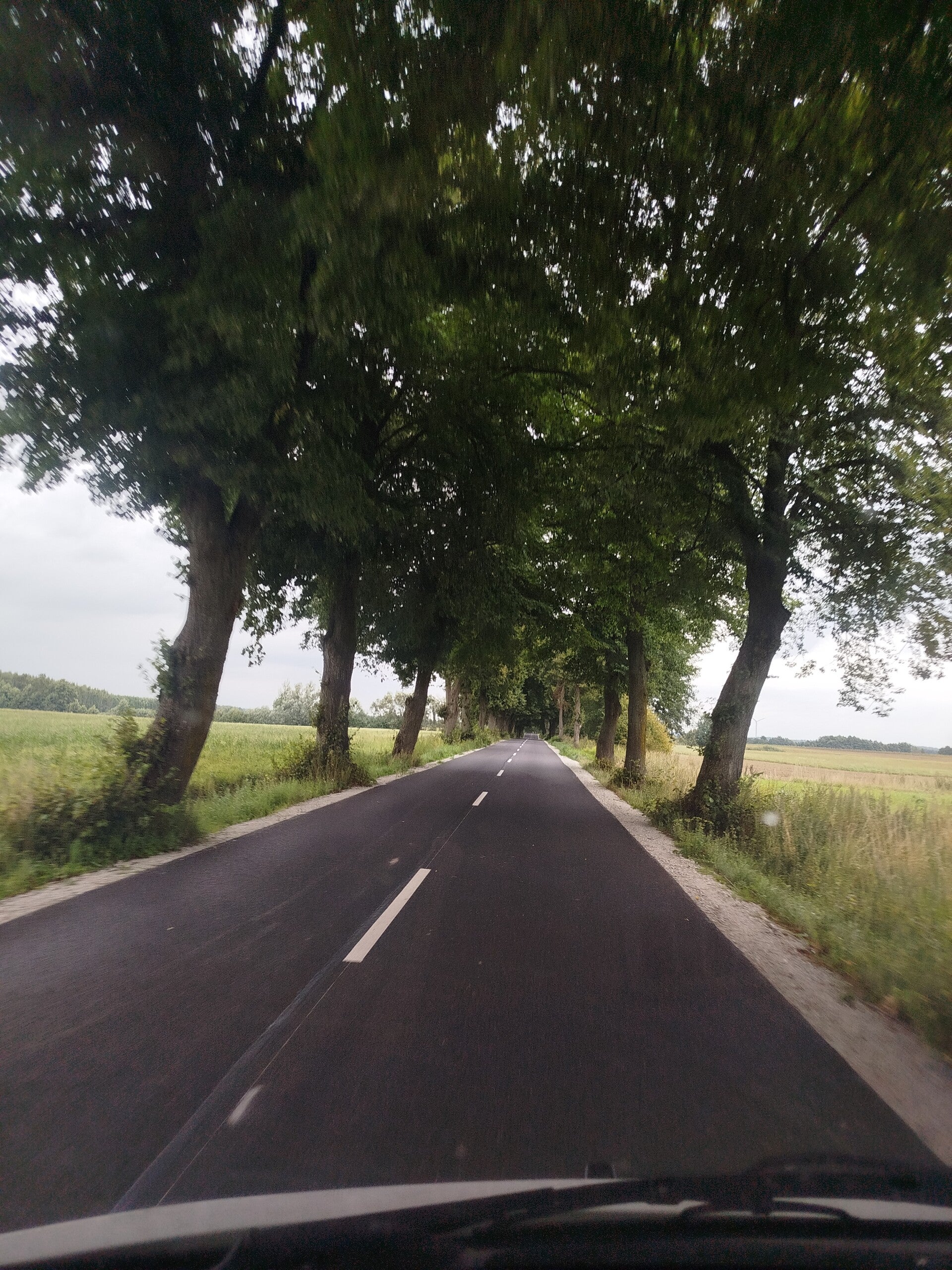 1000069812-standard.jpg