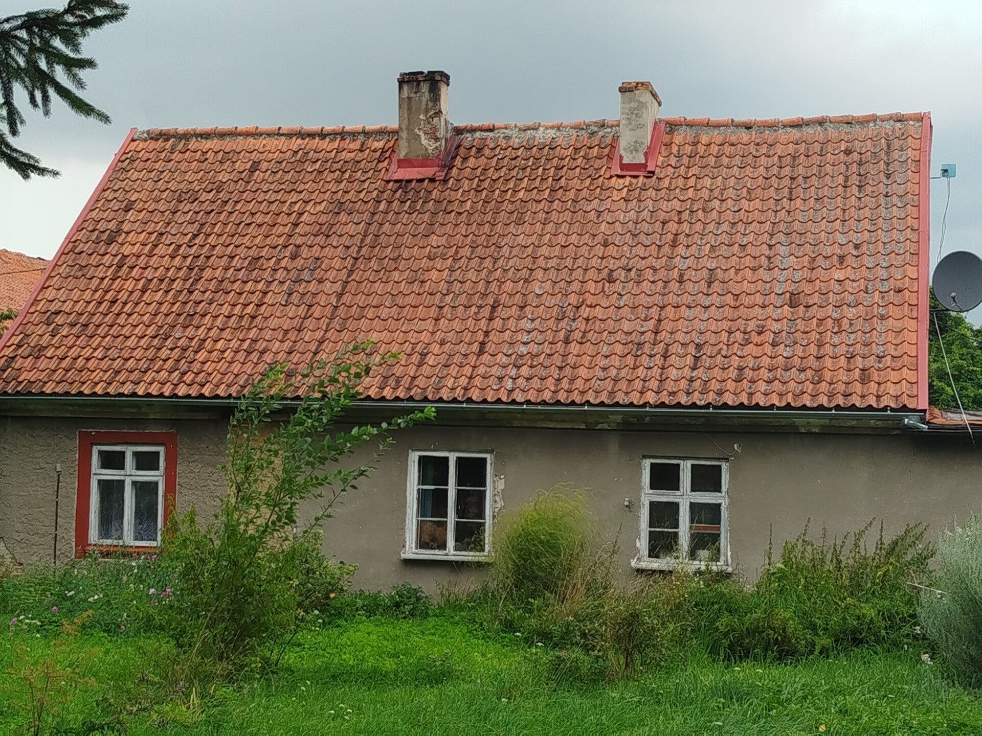 1000069815-standard.jpg