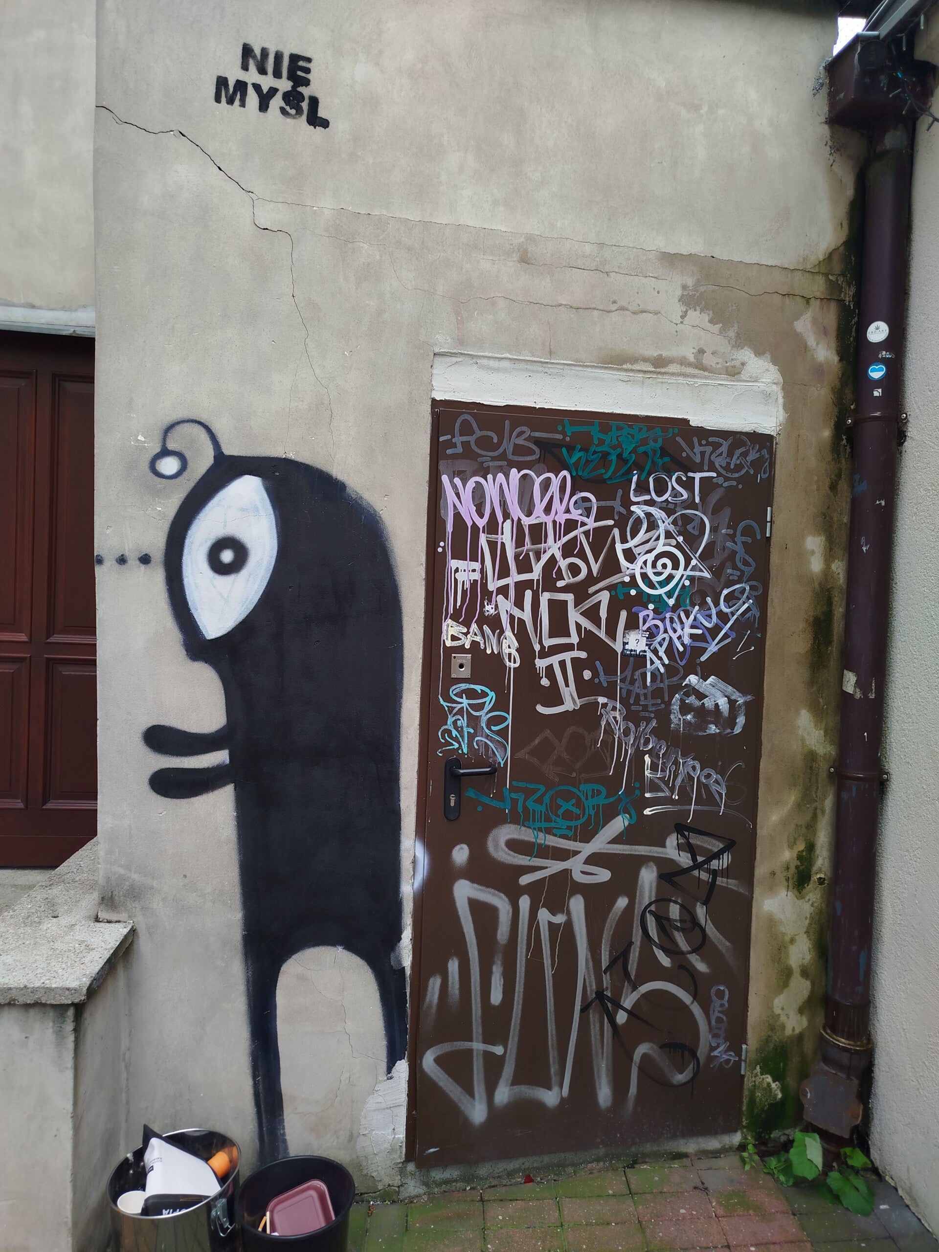 1000070739-standard.jpg