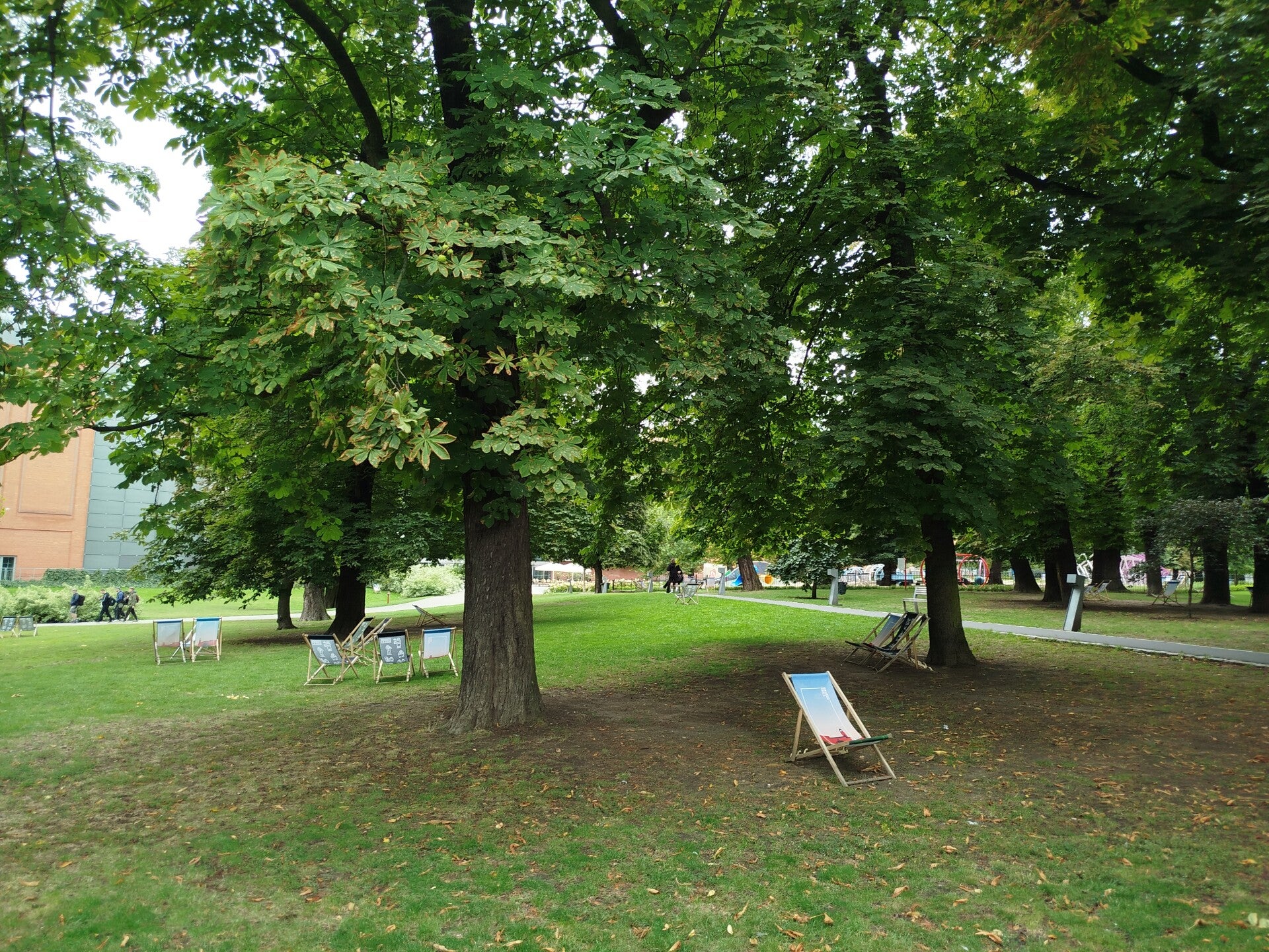 1000070742-standard.jpg