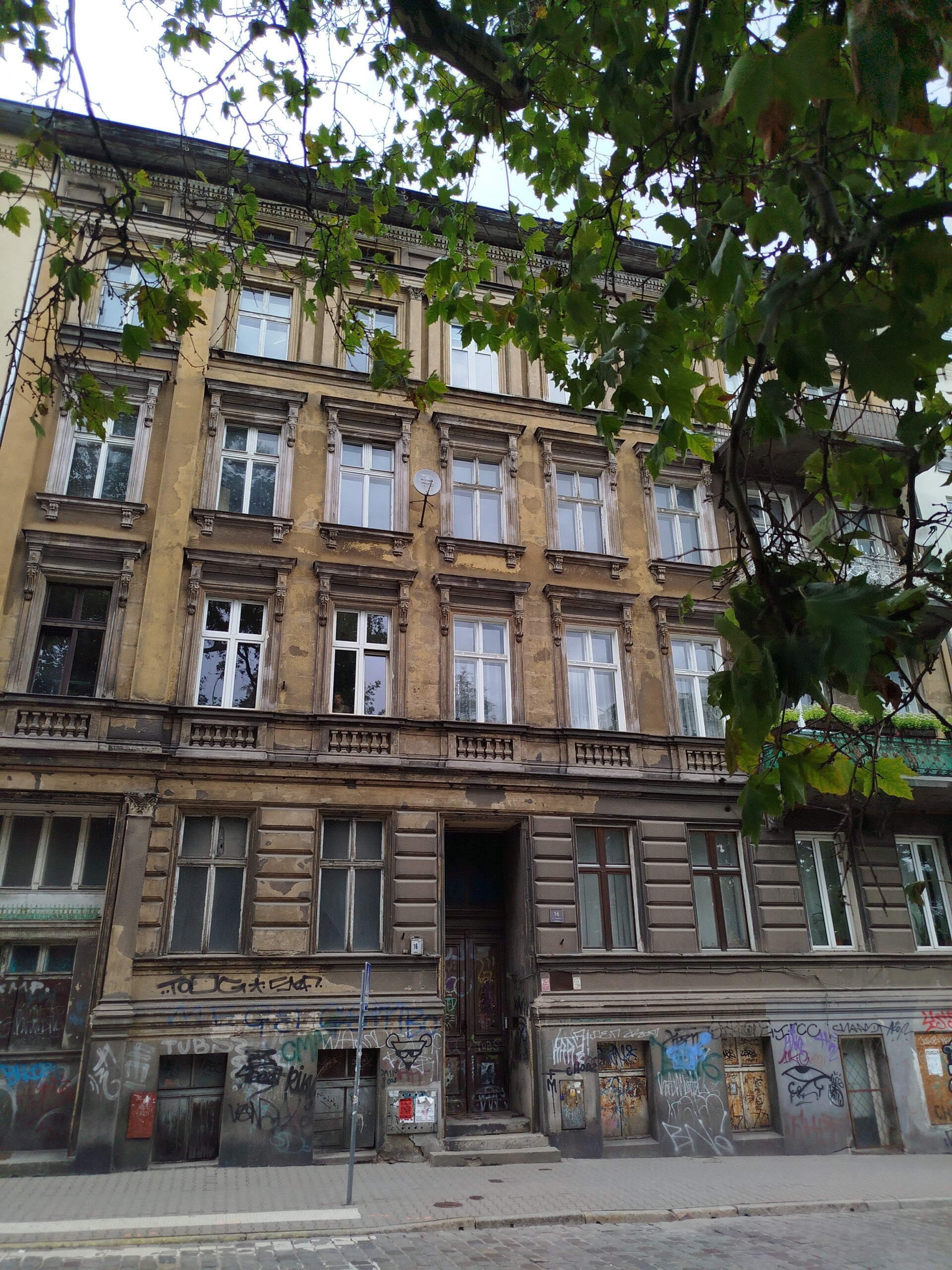 1000070780-standard.jpg