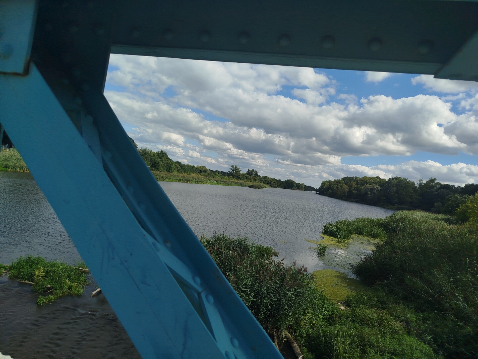 1000071037-standard.jpg