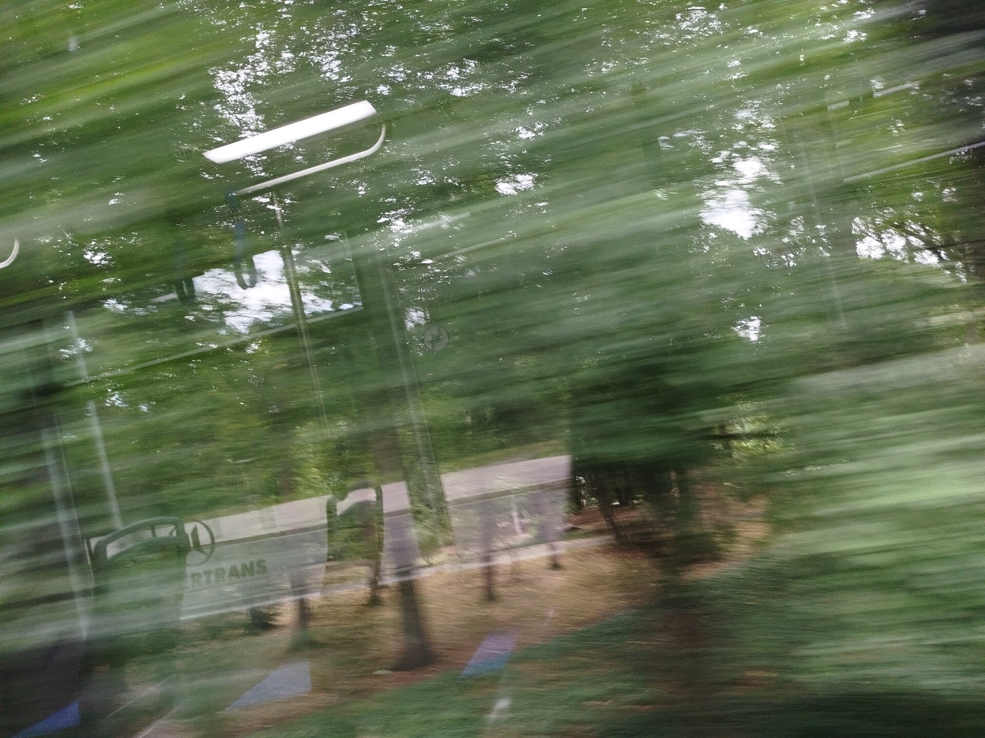 1000071303-standard.jpg