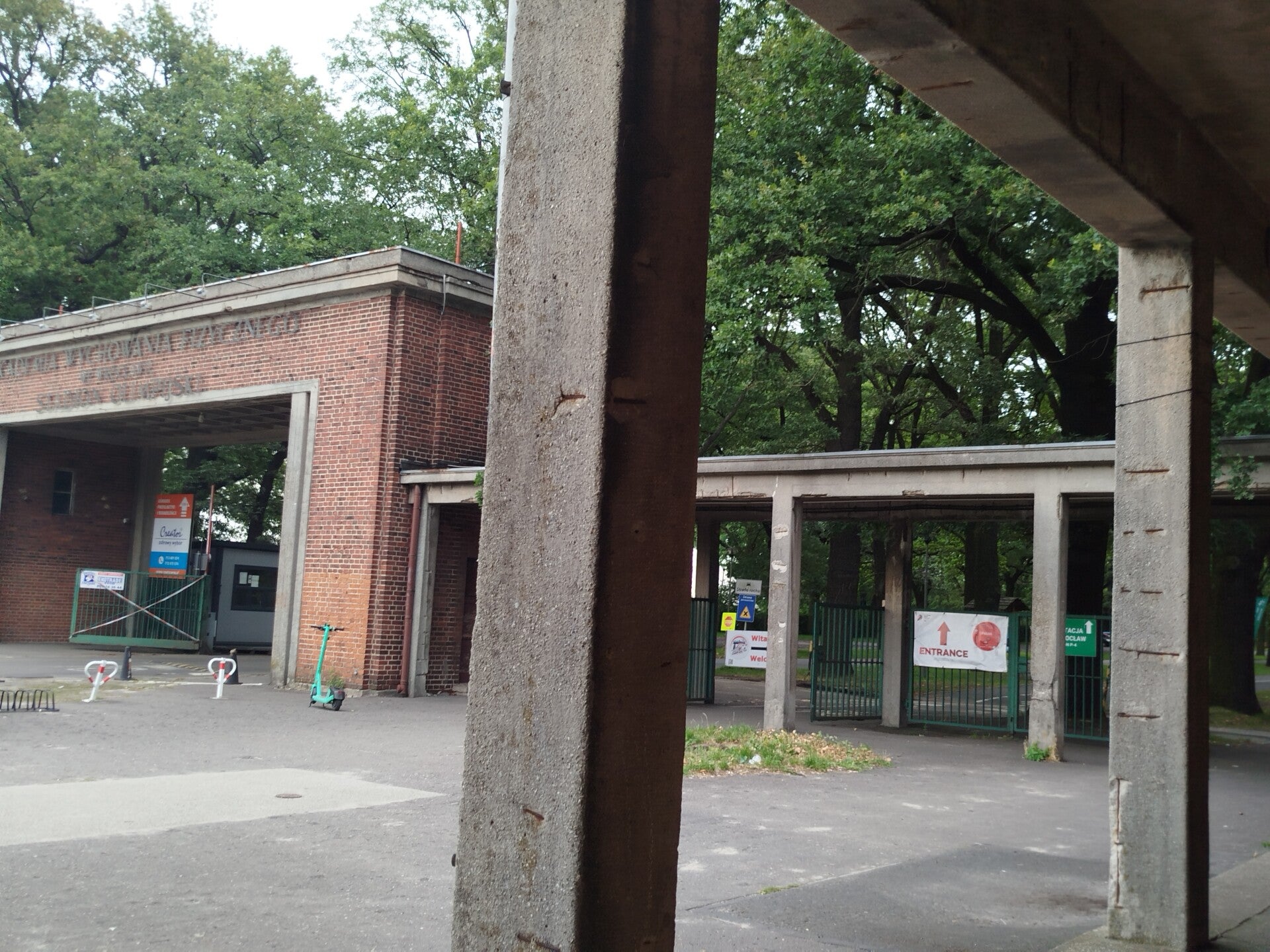 1000071313-standard.jpg