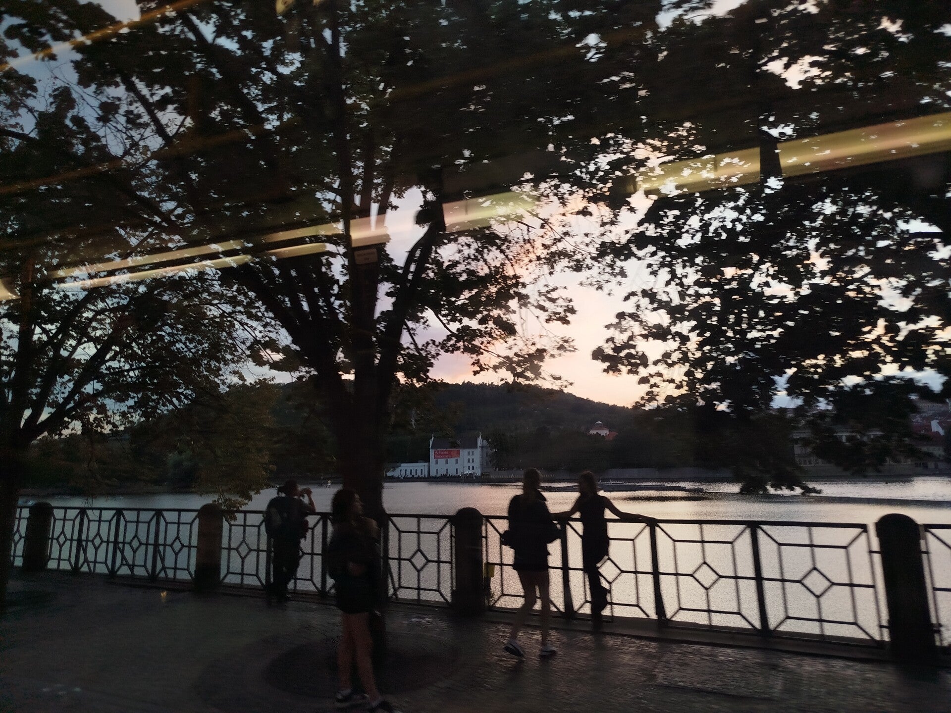 1000071616-standard.jpg